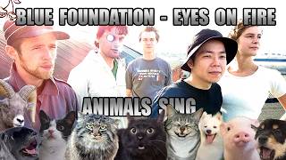 Blue Foundation - Eyes On Fire (Animal Cover)