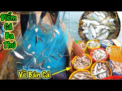 Video Lưới Thưng 3 | Kéo Lưới Tại Điểm Cá Ba Thú , Nhọc Nhằn... - youtube