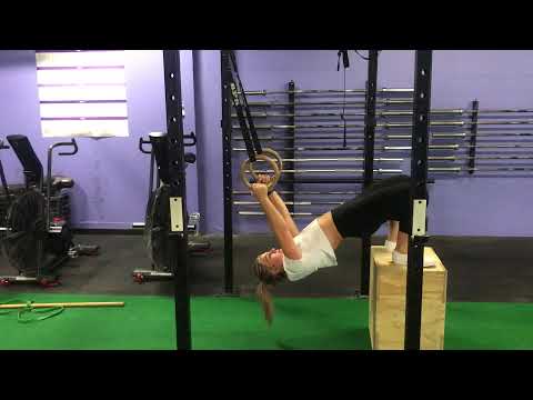 Box Hamstring curls