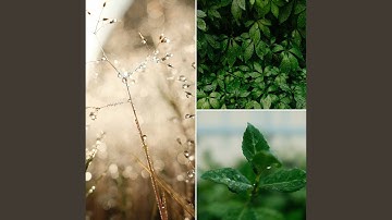 Happening Backdrops for Pensive Moments
