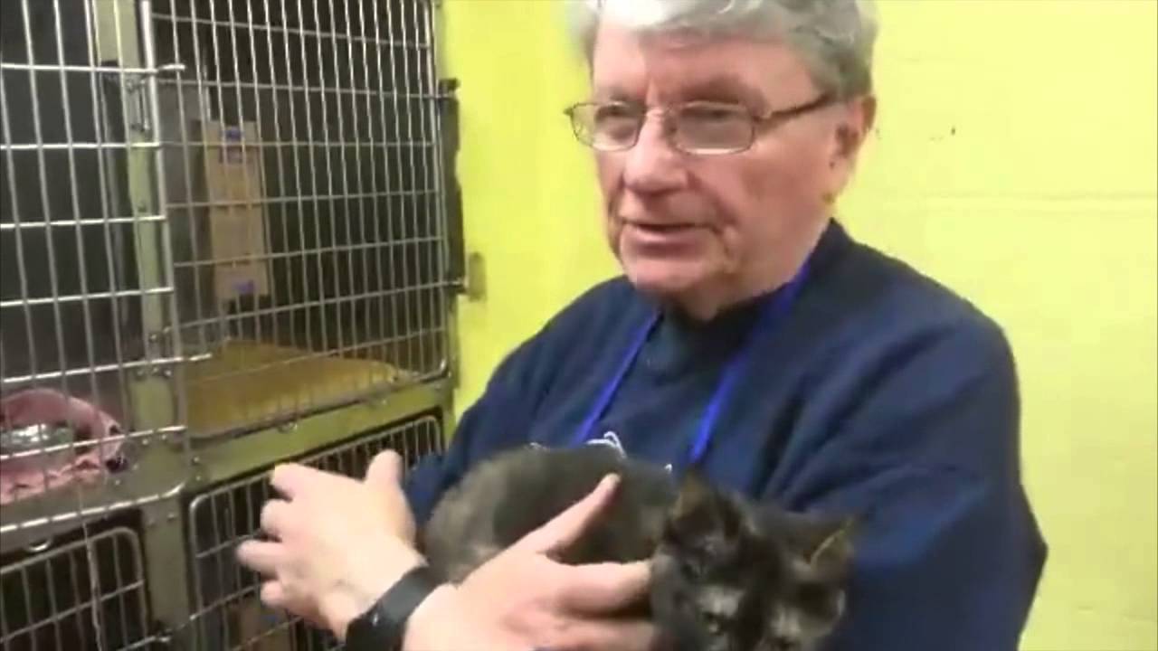 Ingham County Animal Shelter seeks new home