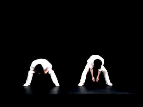 【反転スロー50%】ヒビカセ-踊ってみた-【あおい、フォーゲル】