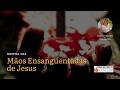 Novena das Mãos Ensanguentadas de Jesus - 11h | 31/05/2026