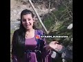 سێوە حەسەن زیرەک داینێ تۆ داینێ Daine To Daine سێوە حەسەن زیرەک داینێ تۆ داینێ Daine To Daine