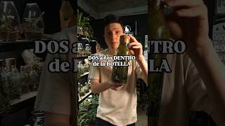 DOS años DENTRO de la BOTELLA (mantenimiento) 🌱