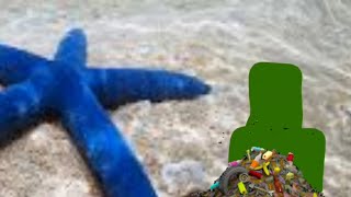 SAVING THE OCEANS (SEA LIFE) (WITH TROPICAL MUSIC) 3D ANIMATION 2D ANIMATION LIVE ACTION SHORT FILM🌊