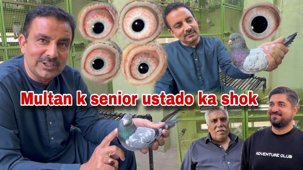 ملتان کے دبنگ کھلاڑی مرزا عمران اور میجر عمران کا لاجواب شوق 😍