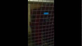 Fire Alarm Panel & Annunciator In Trouble Due To Power Outage