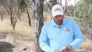 Investigating Advanced Seeding Systems