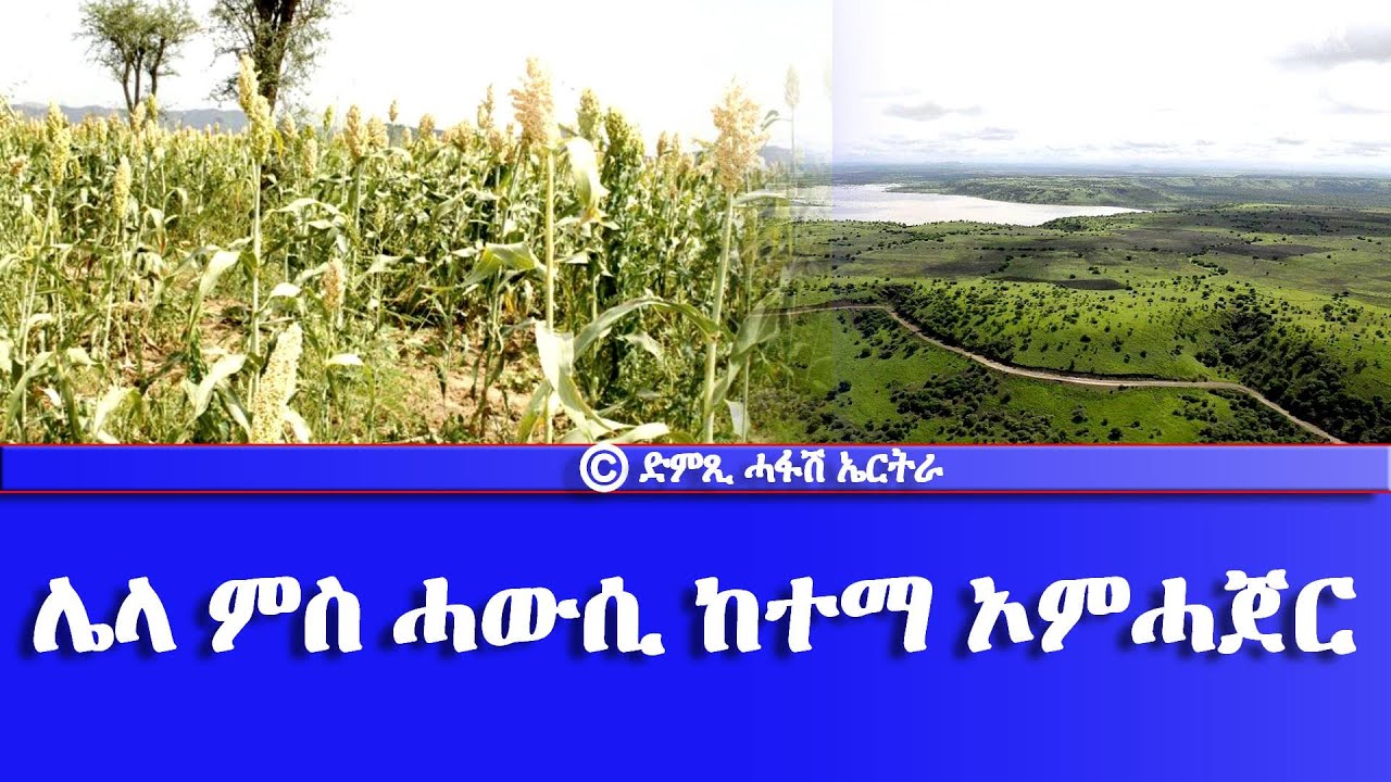 ሌላ ምስ ሓውሲ ከተማ ኦምሓጀር - DimTsi Hafash Eritrea/ድምጺ ሓፋሽ ኤርትራ