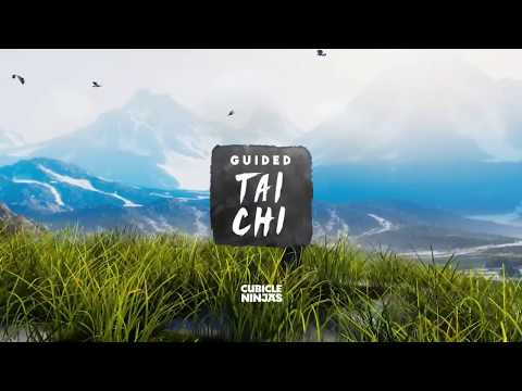 Guided Tai Chi - VR Trailer [Oculus Quest]