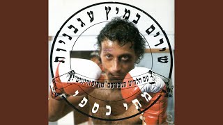 שירים במיץ עגבניות