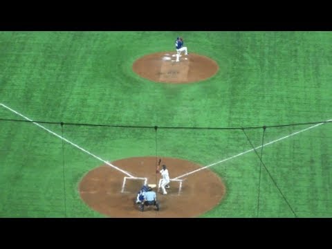 2019年 亀井善行 (巨人) 神宮、東京ドームで撮影した21打席