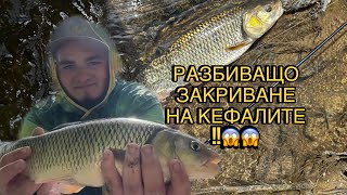 картинка: ГОЛЕМИ БУЦИ ГОЛ СЛЕД ГОЛ!!УСПЯХ ДА ЗАКРИЯ ПОДОБАВАЩО!