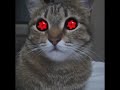 Mata Sharingan Wokwok Mata Sharingan Wokwok