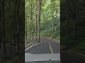 PERJALANAN BANDUNG - UJUNG GENTENG SUKABUMI LEWAT NARINGGUL CIANJUR SELATAN  JALAN BERKELOK