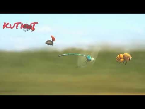 The Insect Olympics: Minuscule Bug 🐞  Racing Highlightsnature race, bugs, insects,
