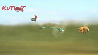 The Insect Olympics: Minuscule Bug 🐞  Racing Highlightsnature race, bugs, insects,