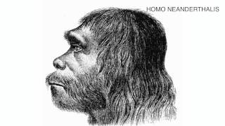 Human Evolution - Final Geography Project