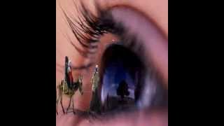 Baran Göç & Unutamadim.