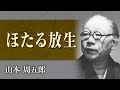 【朗読】山本周五郎「ほたる放生」【プロ声優】