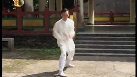 袁康就博士《養生修談》之武當太乙五行拳 2004 Taiyi Five Elements Fist by Dr. Yuen