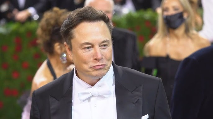 Elon Musk Cancels Don Lemon S Talk Show After Interview