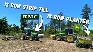 Strip Till Cotton Planting with Liquid Fertilizer