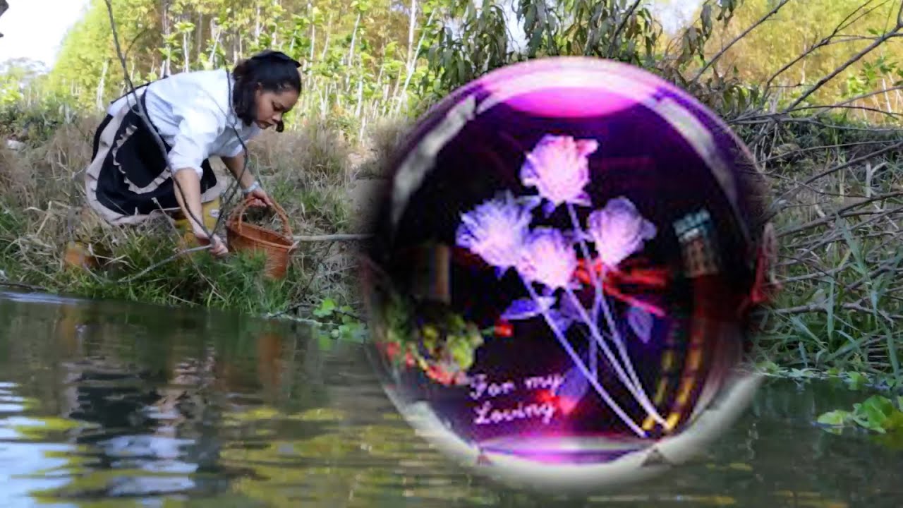 Explore the secrets of clam shells, beneath the sand lies a secret world of clam shells.