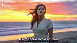 Ne Yaptımsa Sevgiden - Şiir (2024)