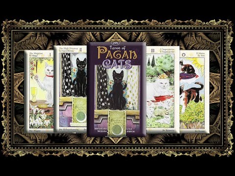 Обзор Таро Языческих Кошек ( Tarot Pagan Cats )