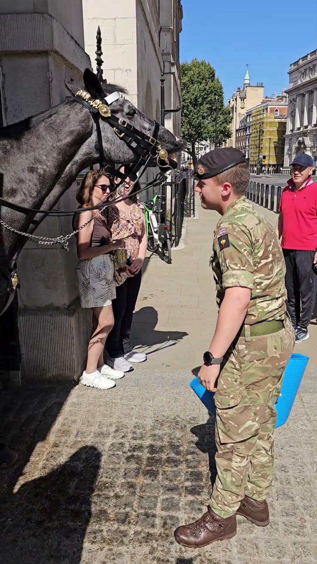 *NEW* Changing the Guard: London 19/05/24. (All RAF)