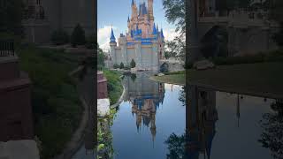 Reflection Of Cinderellas Castle On The Water.