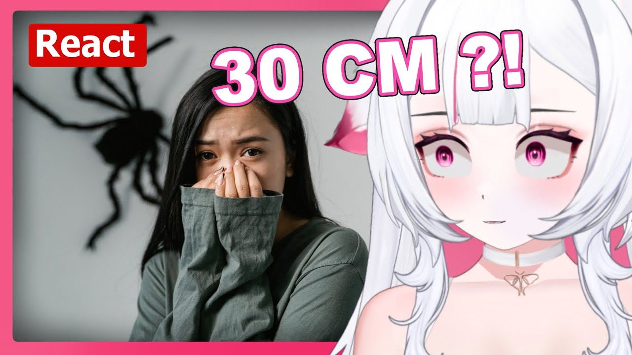 Konfrontationstherapie gegen Arachnophobie | Moki React