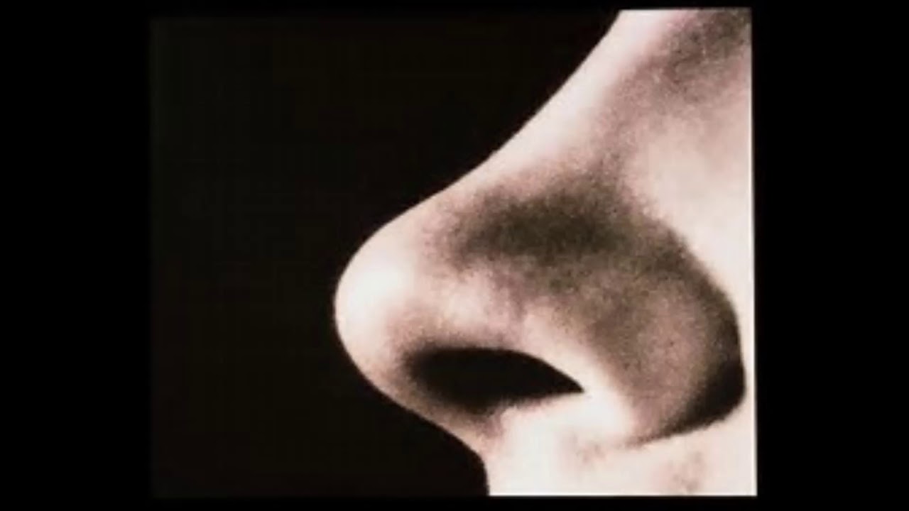 Сон нос мужчины. Мужской нос в профиль. Реалистичный нос чёрном. Большой мужской нос в профиль.
