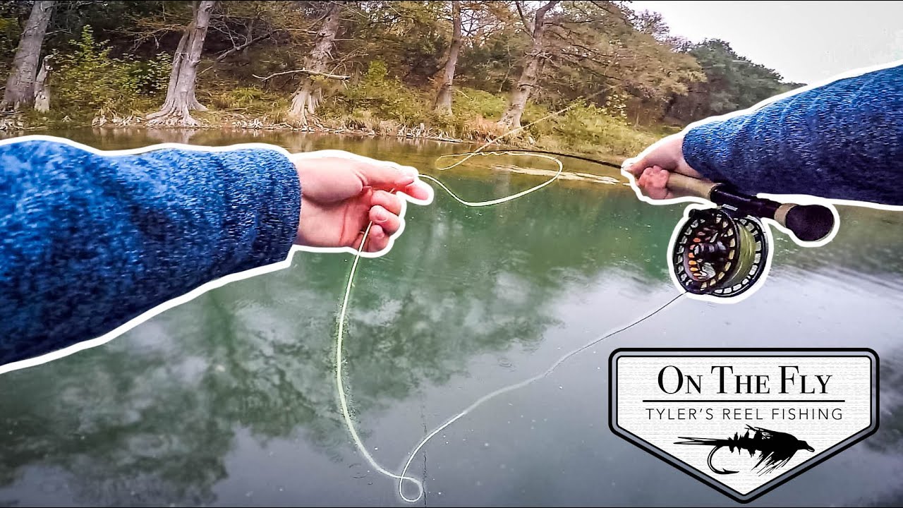 The MOST CHALLENGING Type Of Fishing (On The Fly Ep. 4) - YouTube