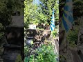 Герои Советского Союза #троекуровскоекладбище #могилызнаменитостей #могила #советский_союз #москва