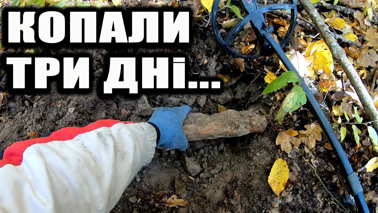 Я НЕ ВІРИВ своїм очам… Монети з глибини лісу!