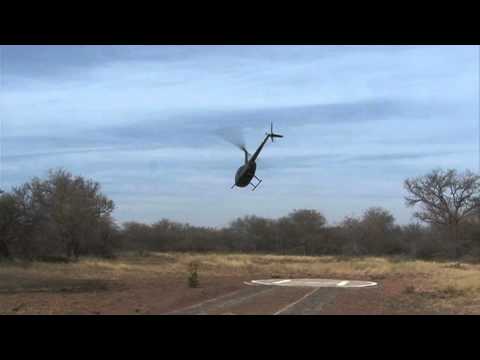robinson r44