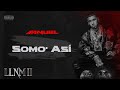 Anuel AA -  Somo Así (Visualizer Oficial) | LLNM2