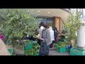 たまプラーザ中央商店街から美しが丘公園へ たまプラーザとその付近を散歩しました。その4 神奈川県横浜市青葉区 2021年3月31日撮影