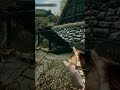 what did she think was going to happen