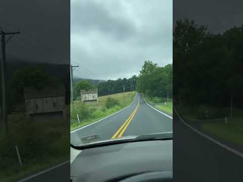 ولاية فرجينيا الأمريكية