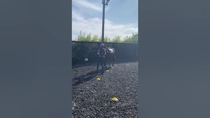 Julie McCracken and Sienna Class 4 part 1