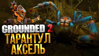 Grounded 2 ➤ КАК УБИТЬ ТАРАНТУЛА АКСЕЛЯ / БРОНЯ НОЧНОГО ОХОТНИКА И НОВОЕ КОПЬЁ / ГДЕ НАЙТИ АКСЕЛЯ