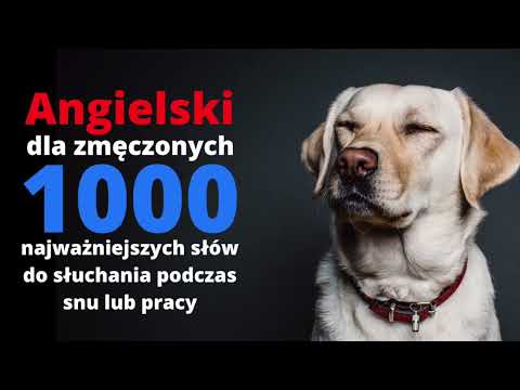 Angielski dla zmęczonych - 1000 najważniejszych słów do słuchania podczas snu i pracy (nauka języka)