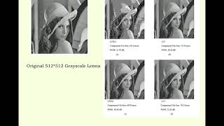 Wavelet based Digital Image Compression, Module III, Lecture 6
