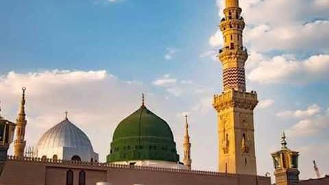 سورة الكافرون الشيخ مصطفى اللاهونى