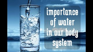 The importance of water in the body system
