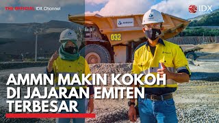 Ammn Makin Kokoh Di Jajaran Emiten Terbesar  Idx Channel